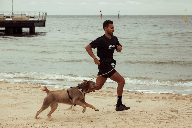 FY Active Joggingbälte
