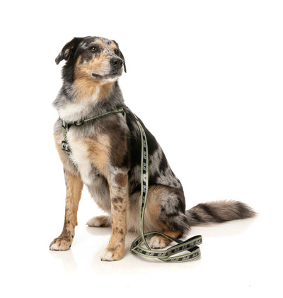 FY Active Koppel - Khaki