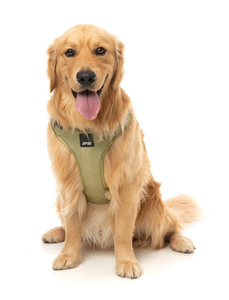 FY Active Go Sele - Khaki