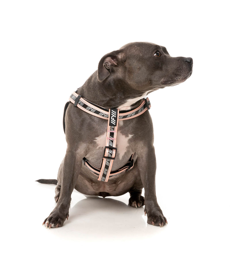 FY Active Strap Sele - Peach