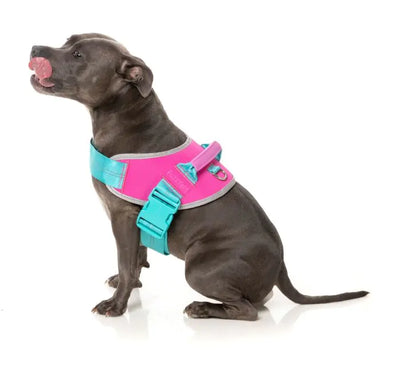 Flash Sele - Bubblegum