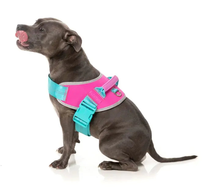 Flash Sele - Bubblegum