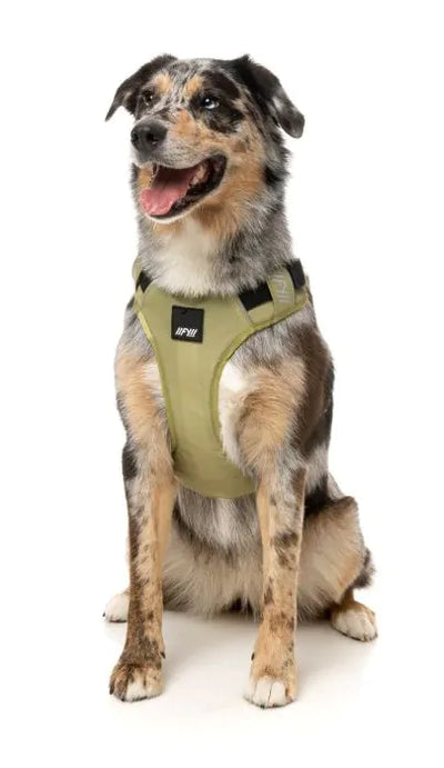 FY Active Go Sele - Khaki