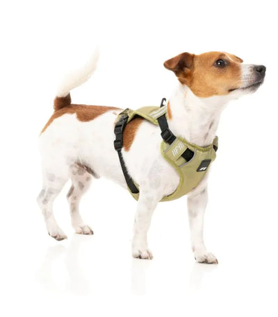 FY Active Go Sele - Khaki