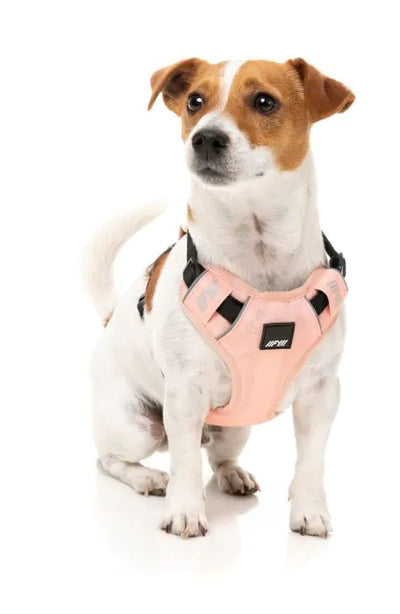 FY Active Go Sele - Peach
