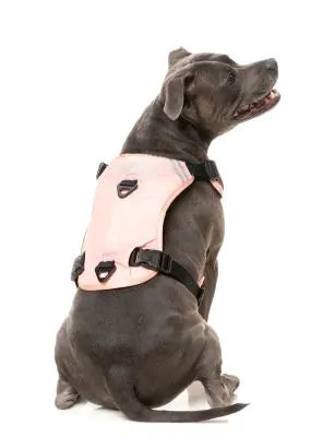 FY Active Go Sele - Peach