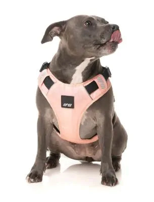 FY Active Go Sele - Peach
