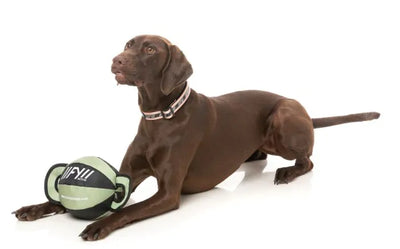 FY Active Ball Tug Hundleksak - Khaki