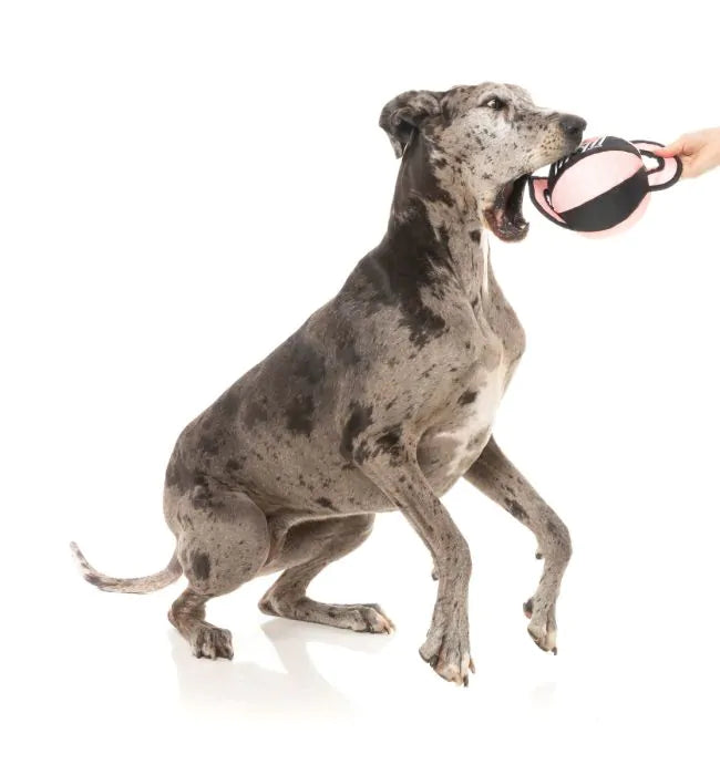 FY Active Ball Tug Hundleksak - Peach