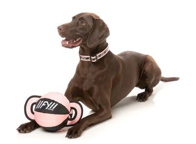 FY Active Ball Tug Hundleksak - Peach
